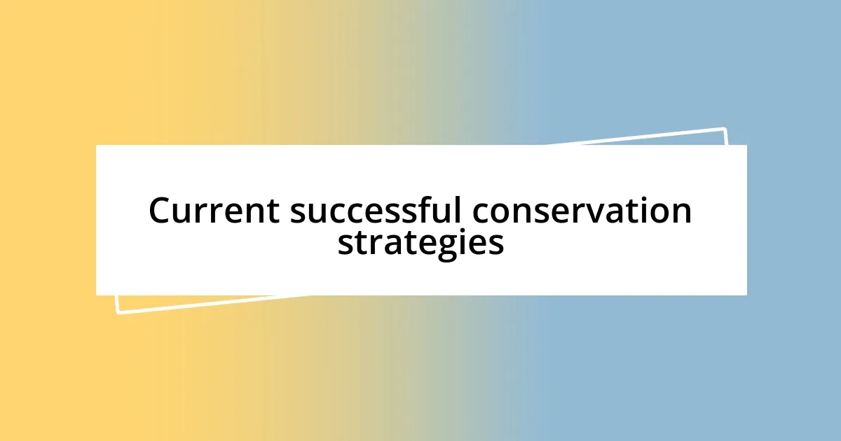 Current successful conservation strategies