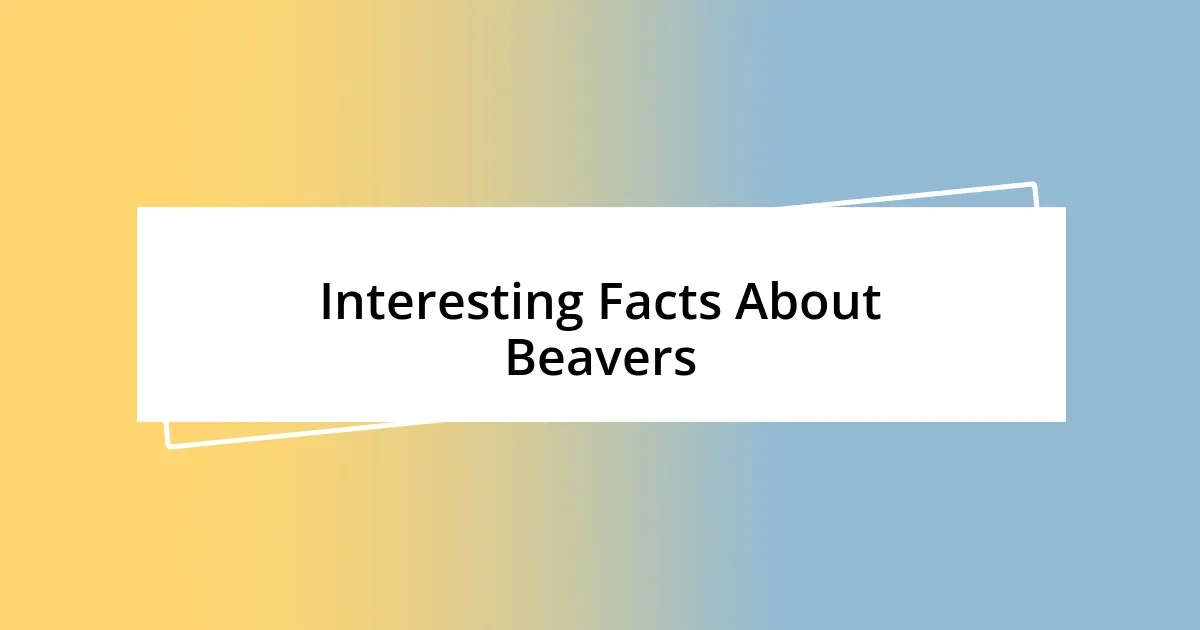 Interesting Facts About Beavers