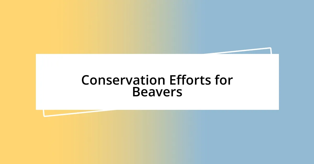 Conservation Efforts for Beavers