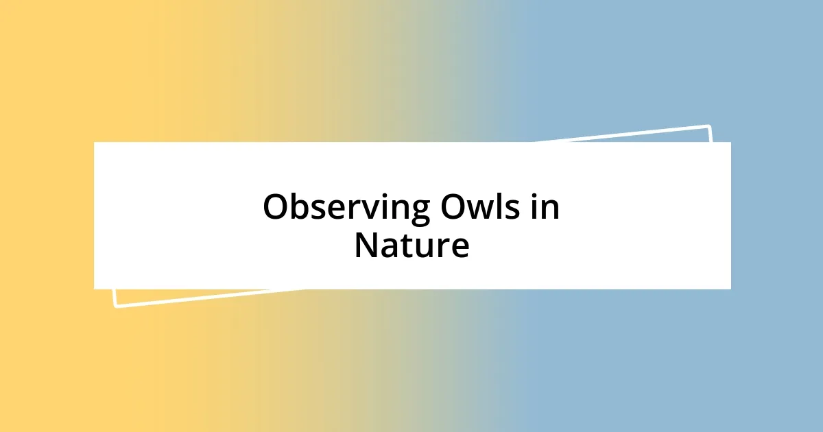 Observing Owls in Nature