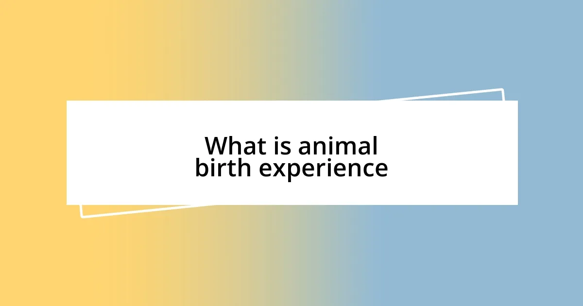 What is animal birth experience