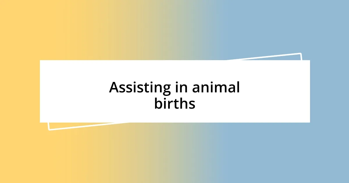 Assisting in animal births