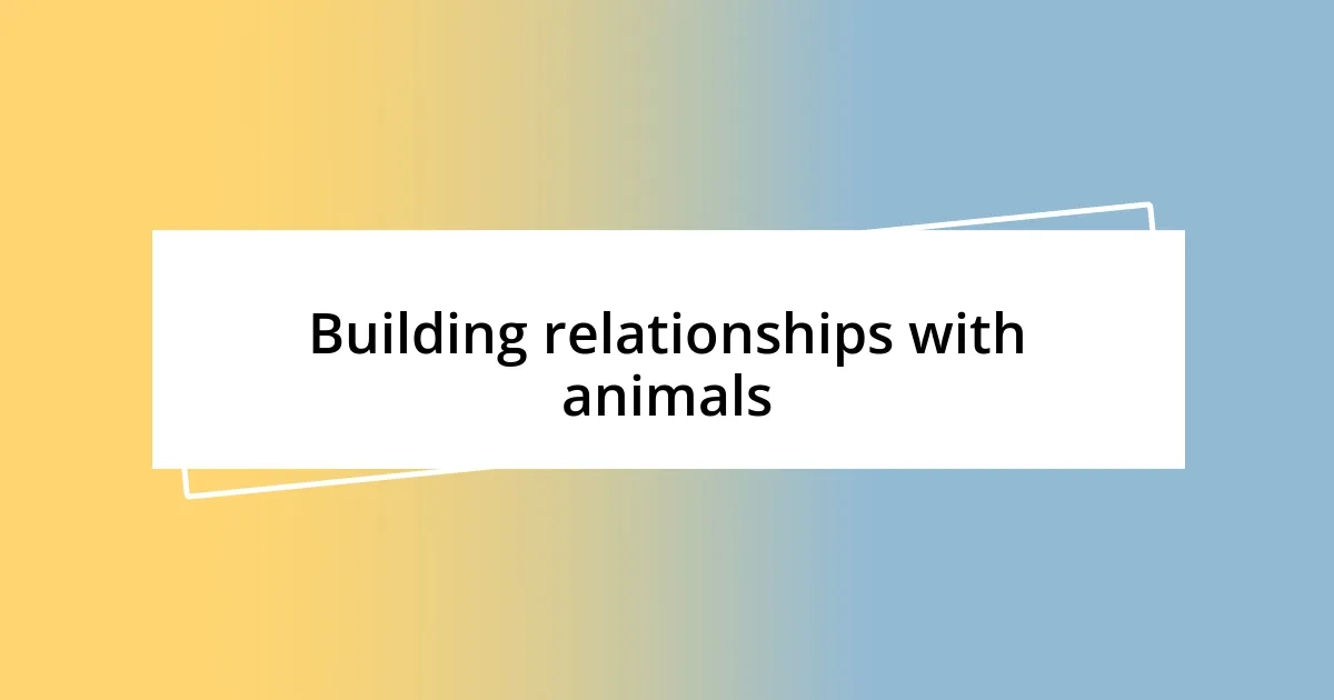 Building relationships with animals