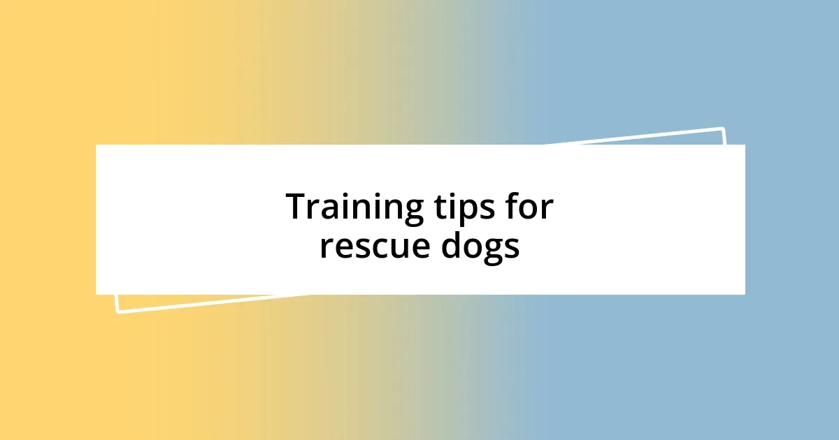 Training tips for rescue dogs