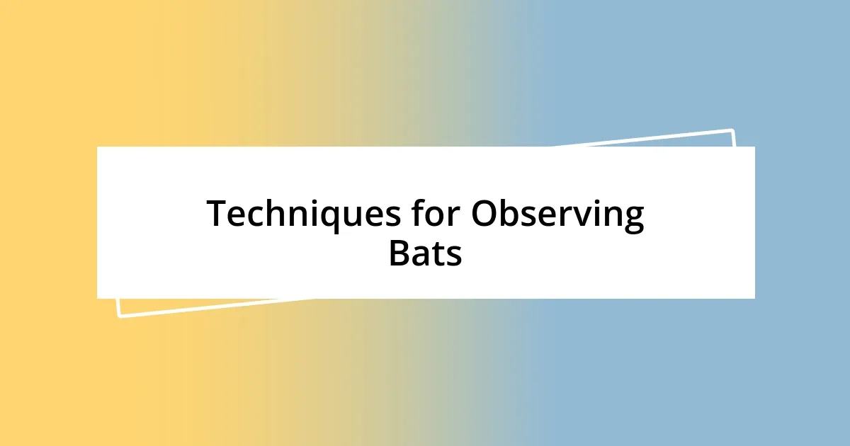 Techniques for Observing Bats