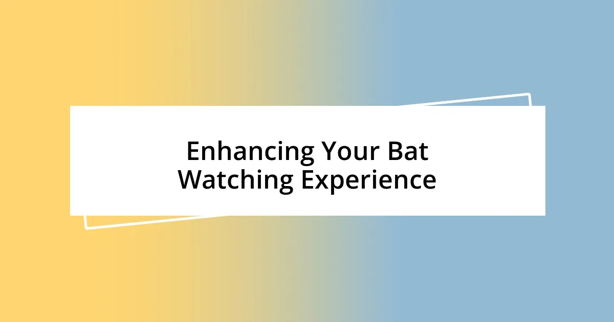 Enhancing Your Bat Watching Experience