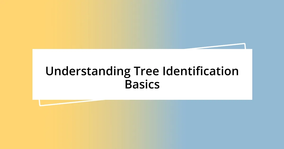 Understanding Tree Identification Basics