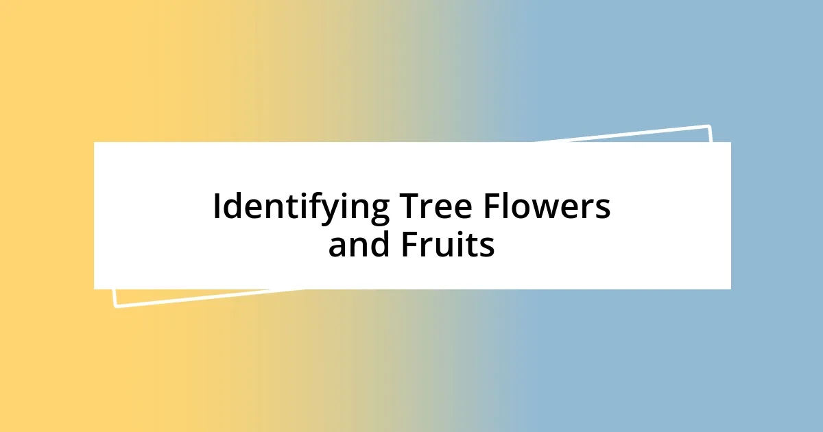 Identifying Tree Flowers and Fruits