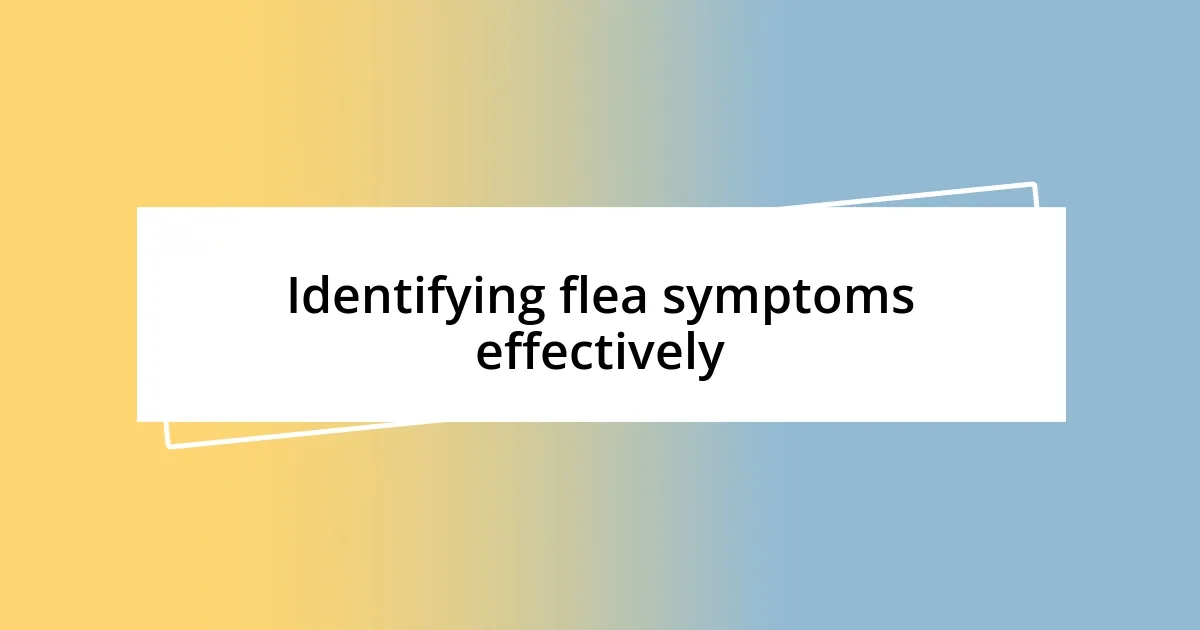 Identifying flea symptoms effectively