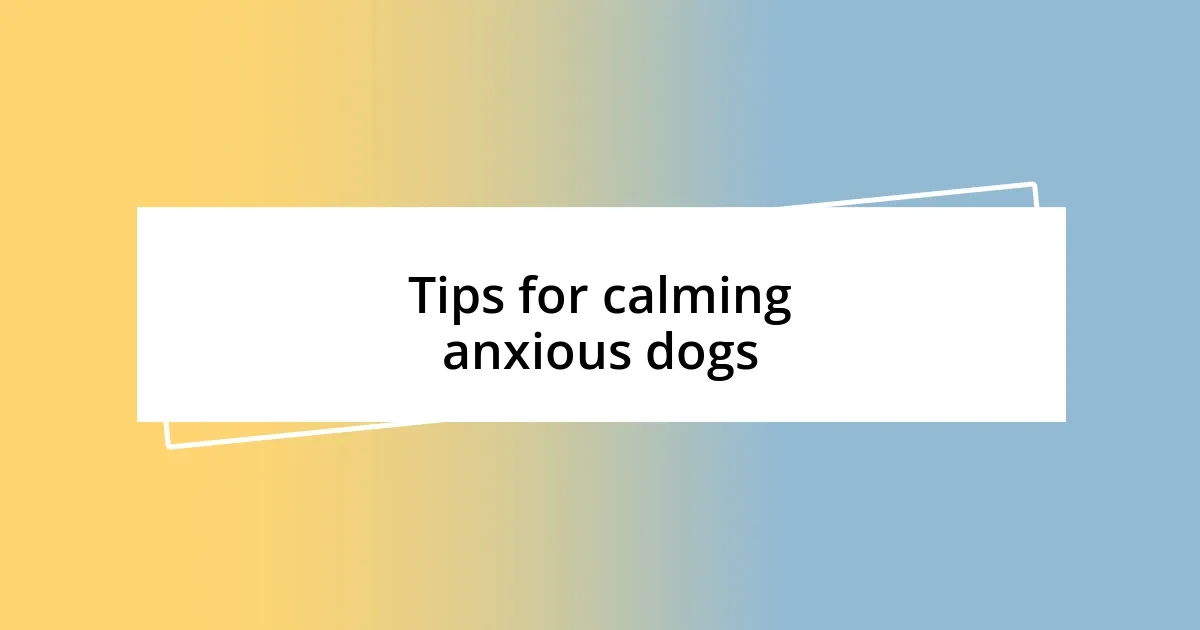 Tips for calming anxious dogs